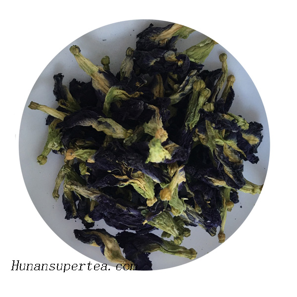 Achantea 3009