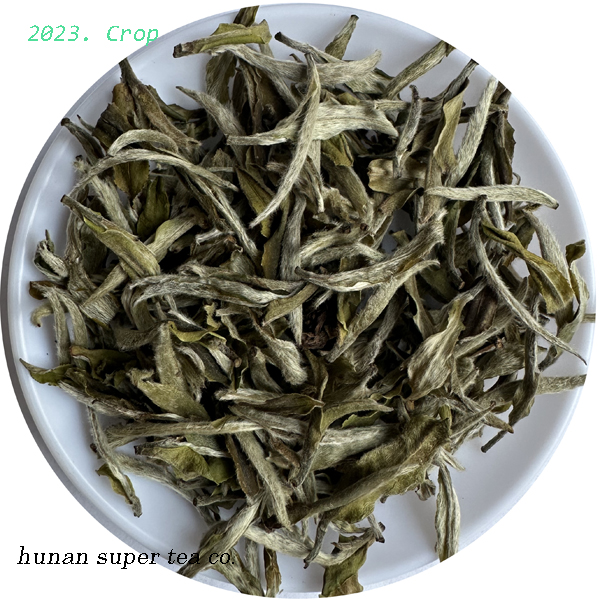 Mu Danwang ( White peony King ) -2023 CROP 