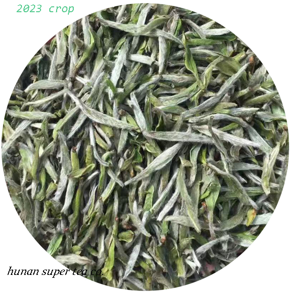 White tea super needle 2023